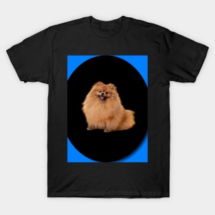 happy ginger dog T-Shirt